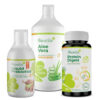 Protein Digest, Aloe Vera und Liquid Prebiotics Biostile