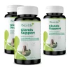 Glands Support (Drüsenunterstützung) 2+1 Gratis Biostile